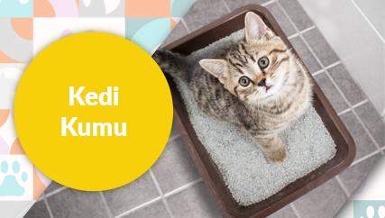 Kedi Kumu