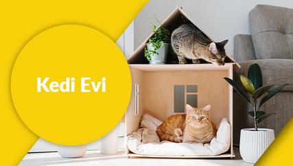 Kedi Evi