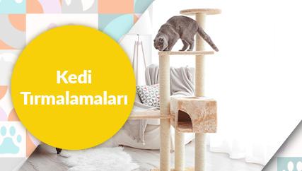 Kedi Tırmalamaları