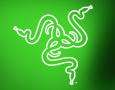 gamerfix_lp_logo_razer