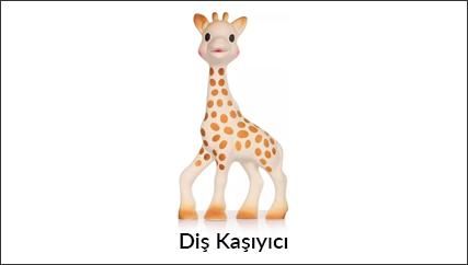 Diş Kaşıyıcı