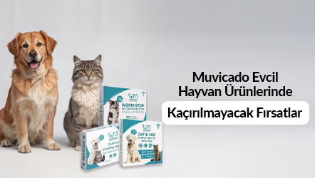 Muvicado markalı evcil hayvan ürünlerde kaçırılmayacak fırsatlar