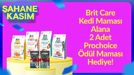 Brit Care Kedi Maması Alana 2 Adet Prochoice Ödül Maması Hediye!