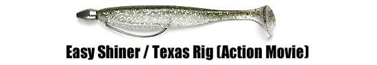 ““Keitech_easy-shiner-texas-rig””