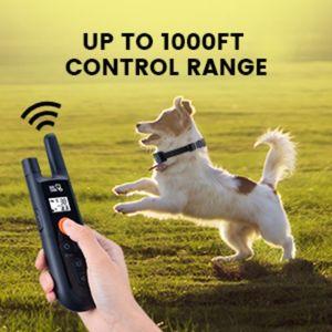 köpek eğitim tasması