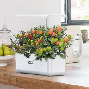 bitki bahçesi kiti kapalı