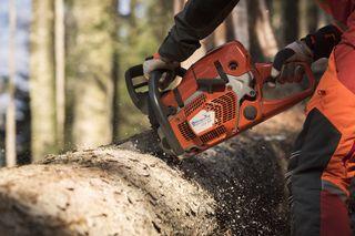 Chainsaw logger - Switzerland