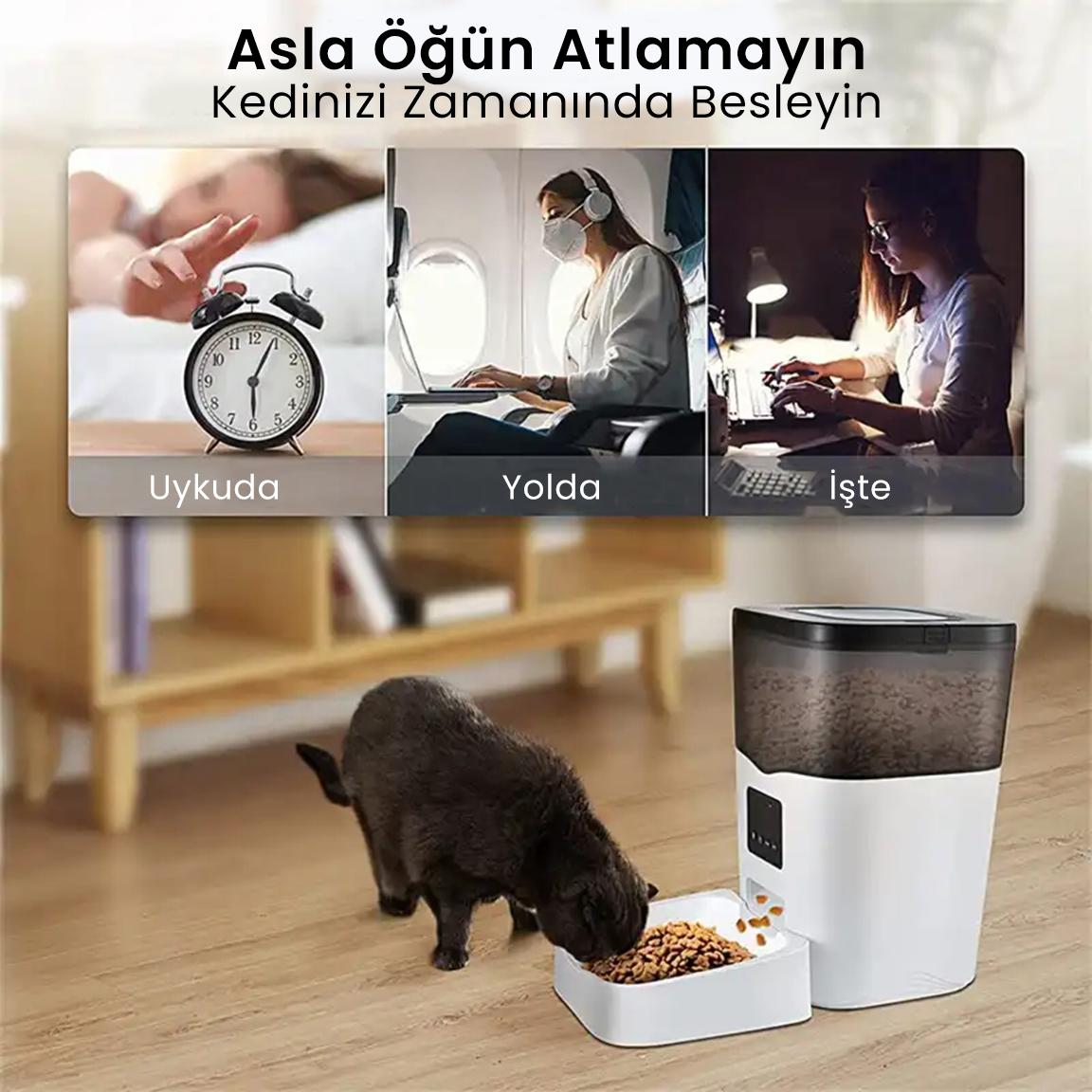 PETFİT