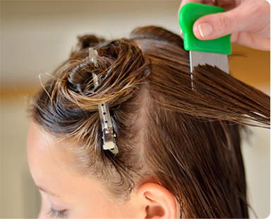 Nasıl Kullanılır?