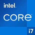 section-1-intel