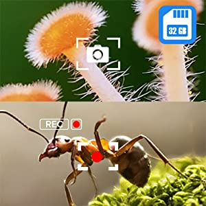 madeni para mikroskobu