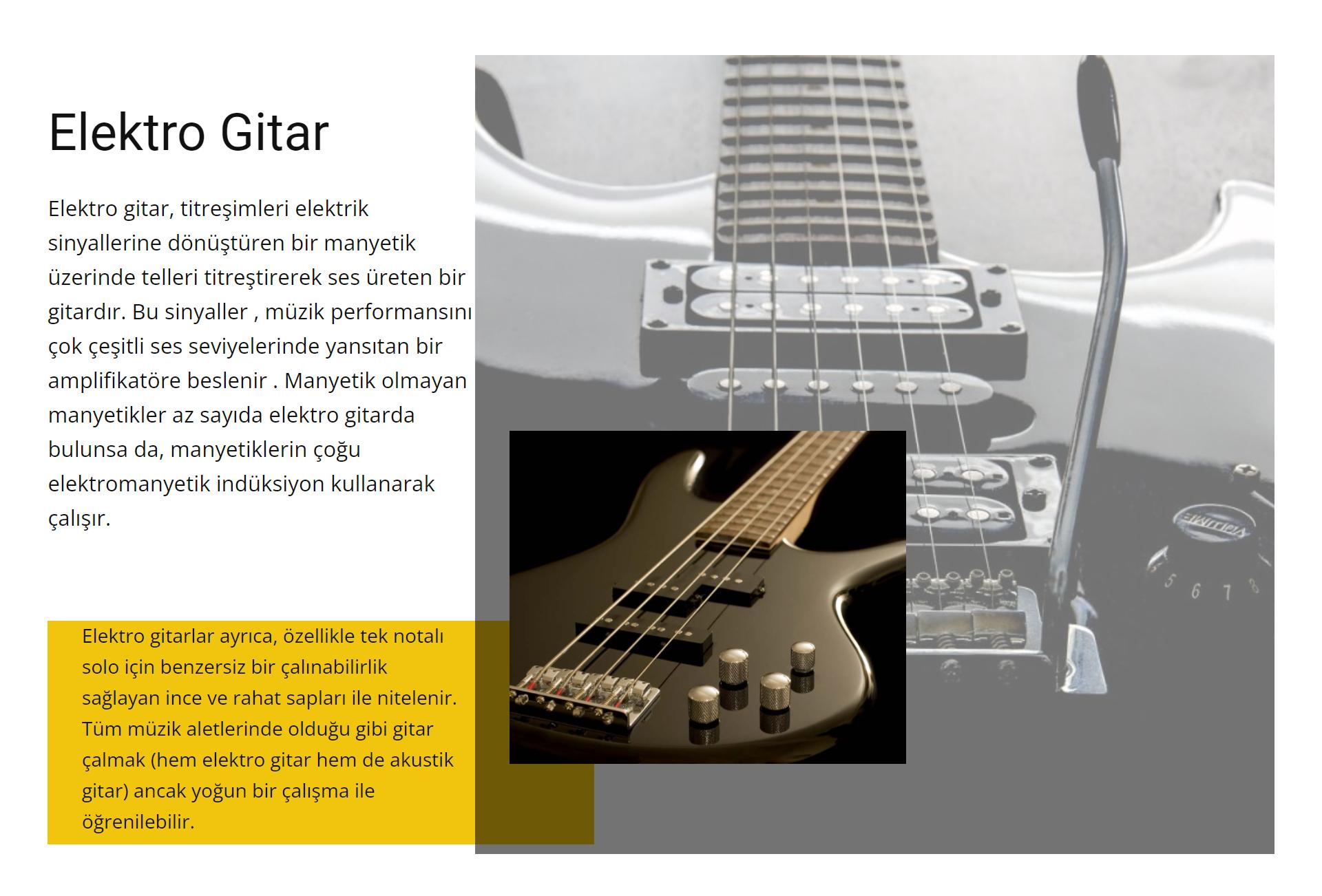 Elektrik Gitar
