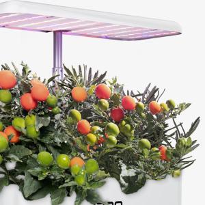 bitki bahçesi kiti kapalı