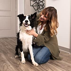 yaşam tarzı köpek kadın