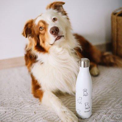 Qwetch QD3372 Isı Yalıtımlı 500ml Termos - Köpek Desenli