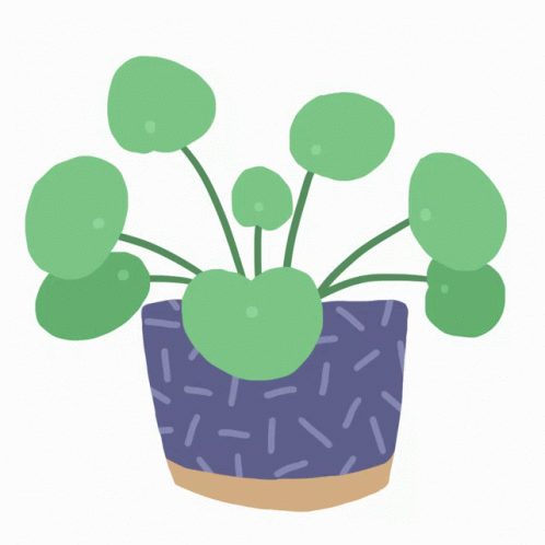 MarieBoiseauPileaGIF.gif