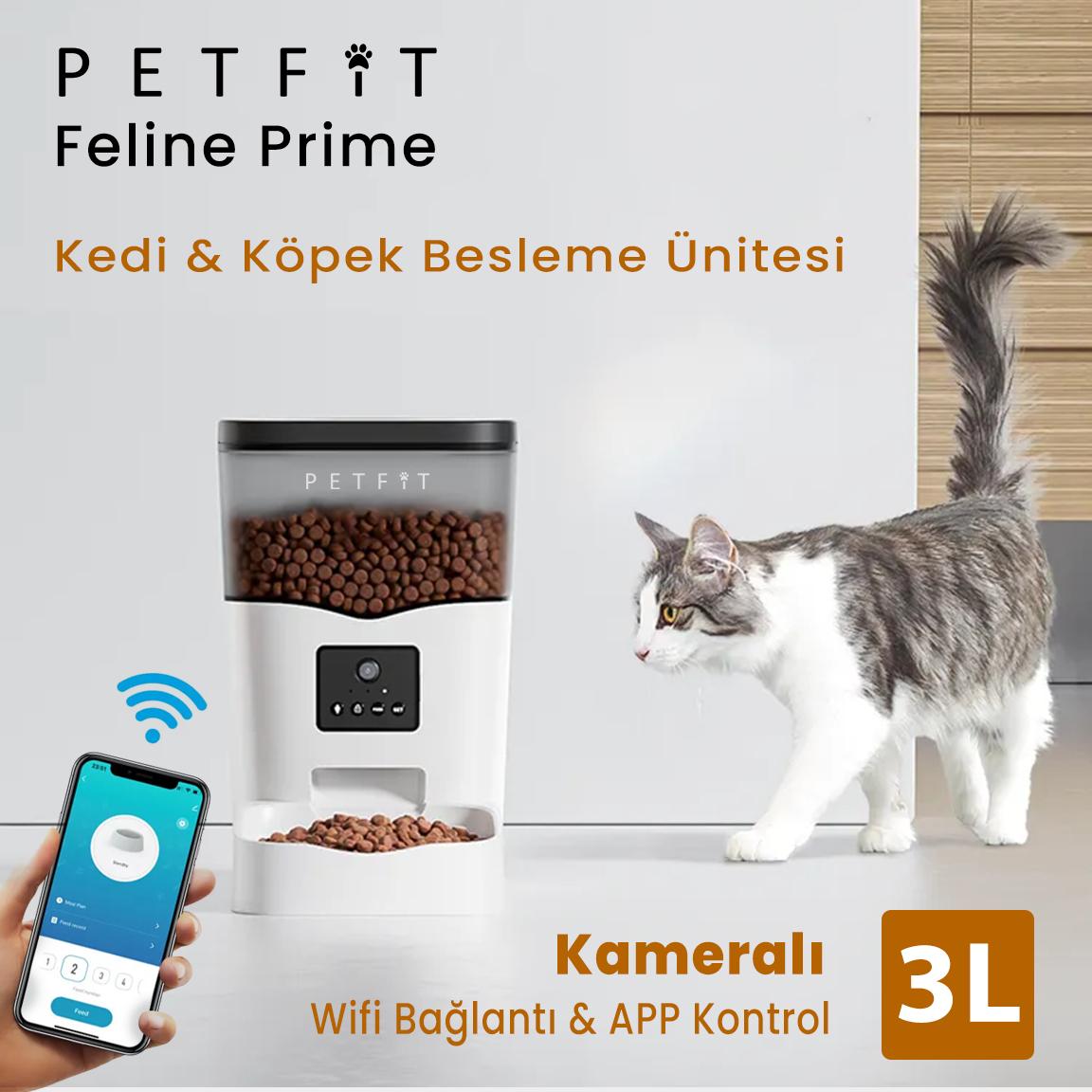 PETFİT