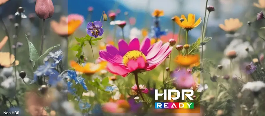 HDR Ready Teknolojisi ile Çarpıcı Görseller