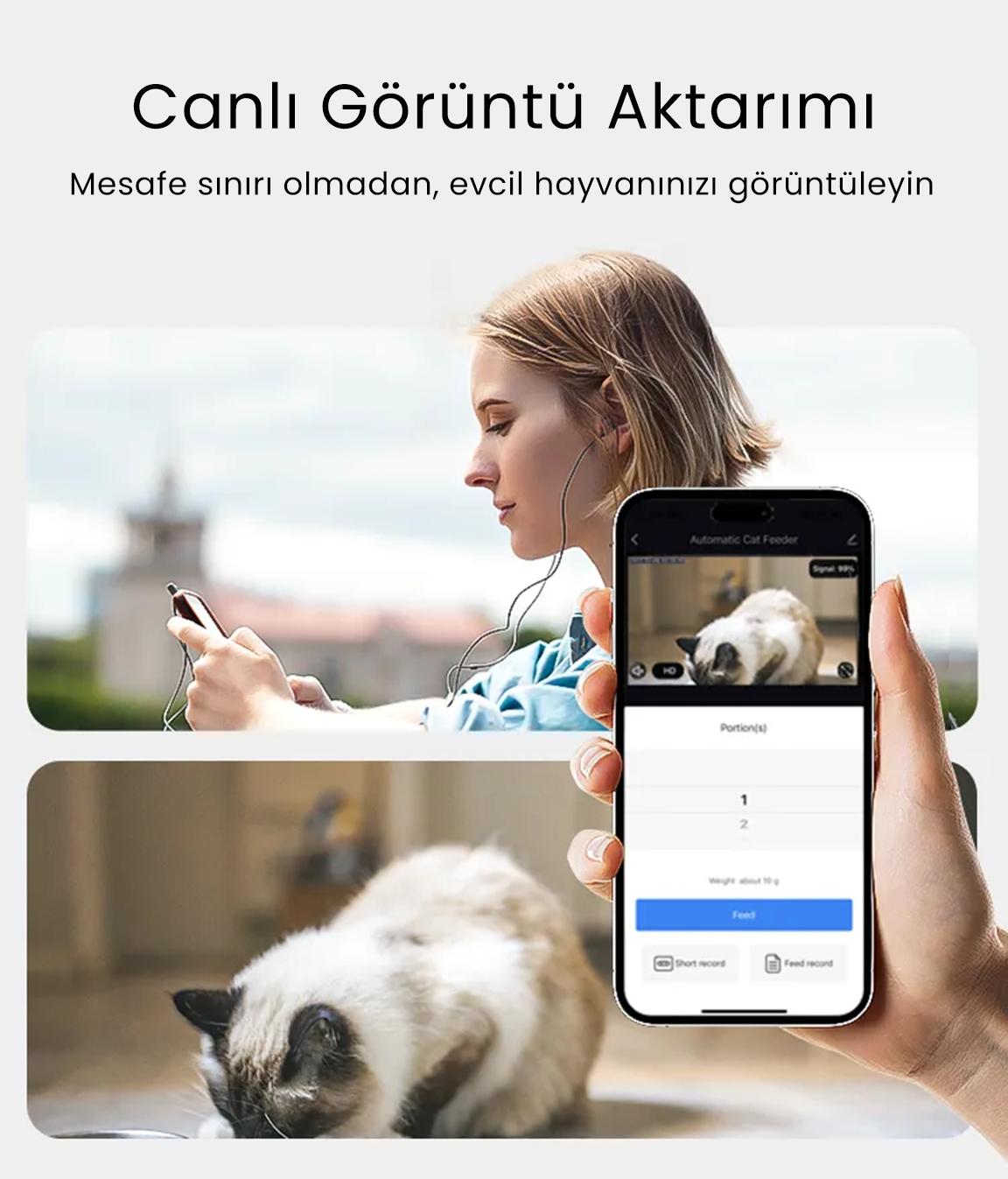 PETFİT