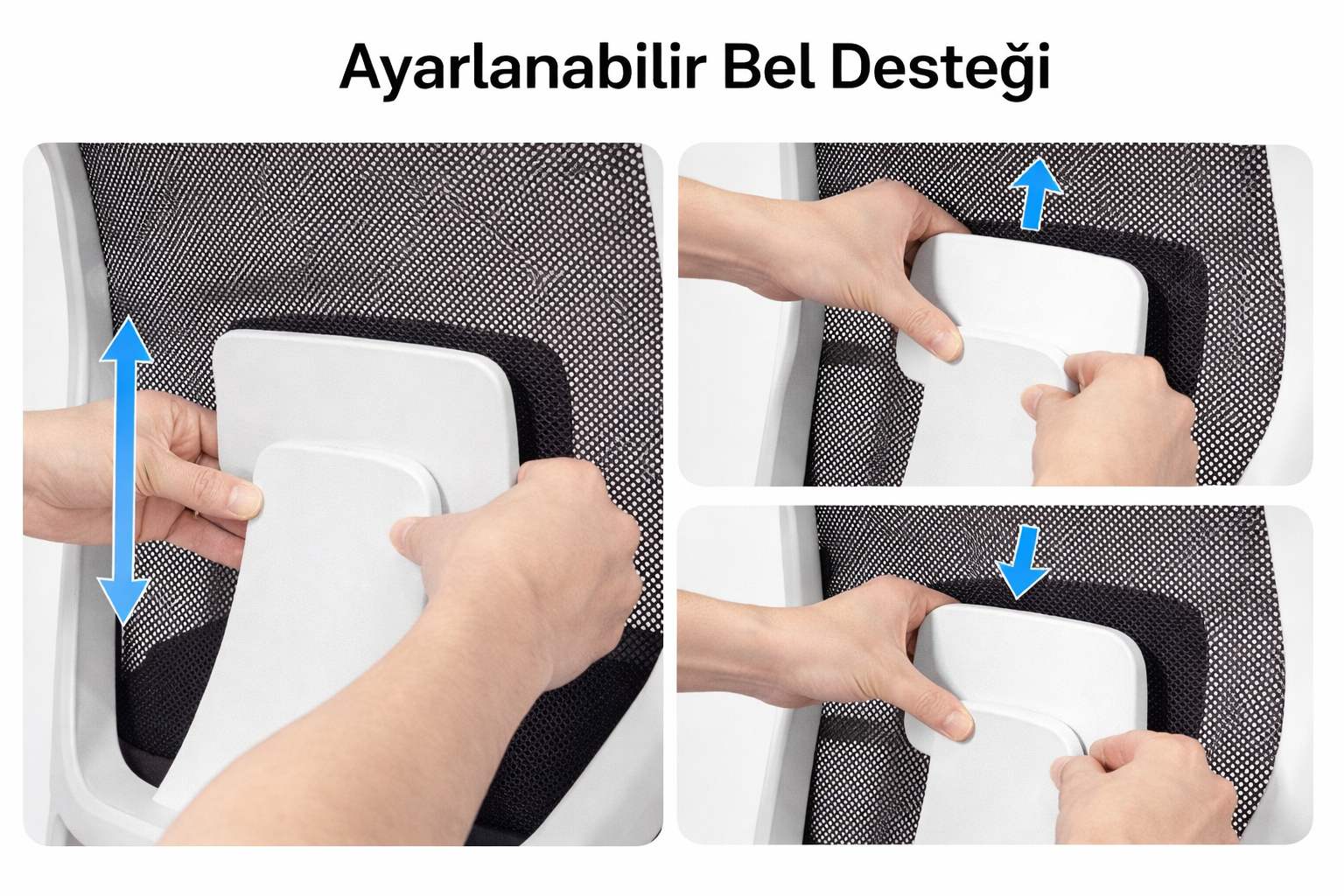 Özellik 4