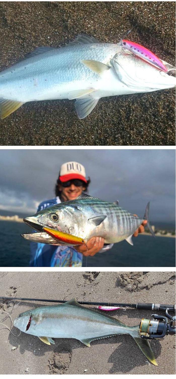 Duo Beach Walker 120MD