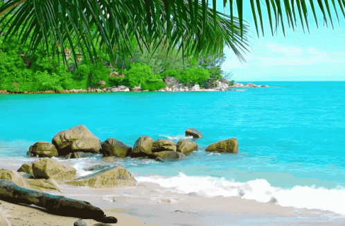 BeachRelaxingGIF4.gif