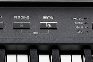 CUP-P1-Rhythms.jpg