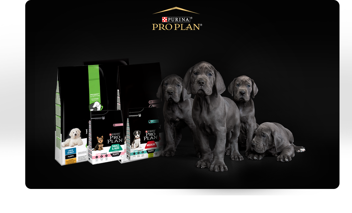 purina