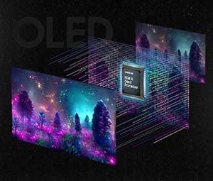 https://images.idefix.com/mpstatics/product-description/59f1b8d85c3a8da6809d7c75684d60d2-6723f0eee7a41.jpg