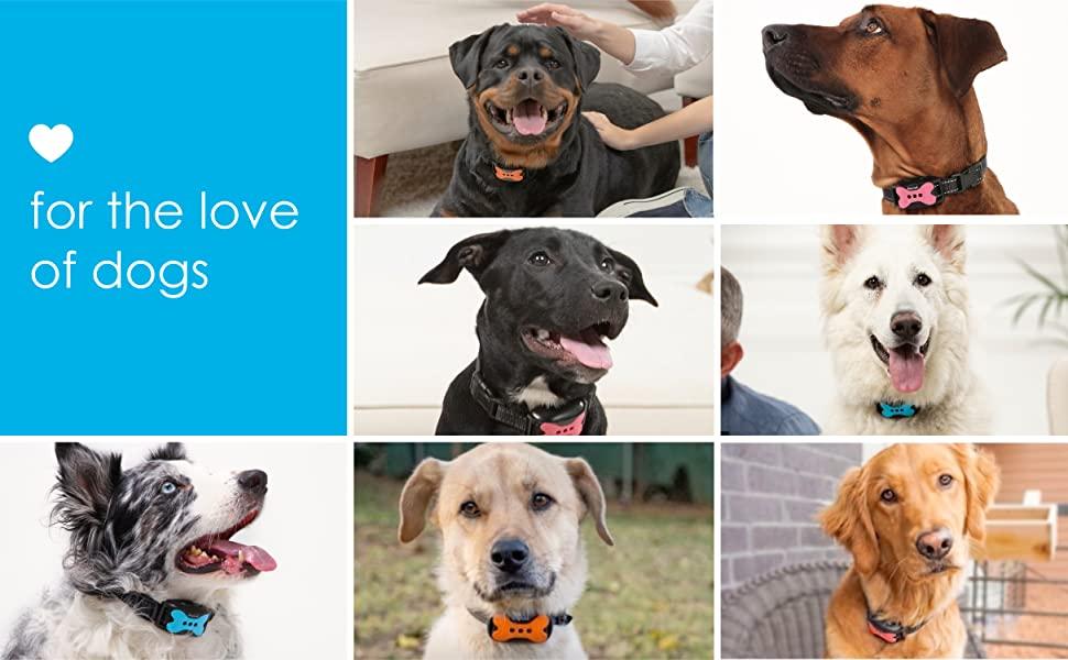 büyük köpekler için köpek havlama tasmaları havlayan tasma büyük köpek havlama havlama şok tasması