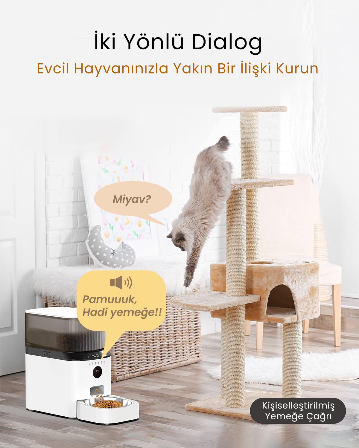 PETFİT