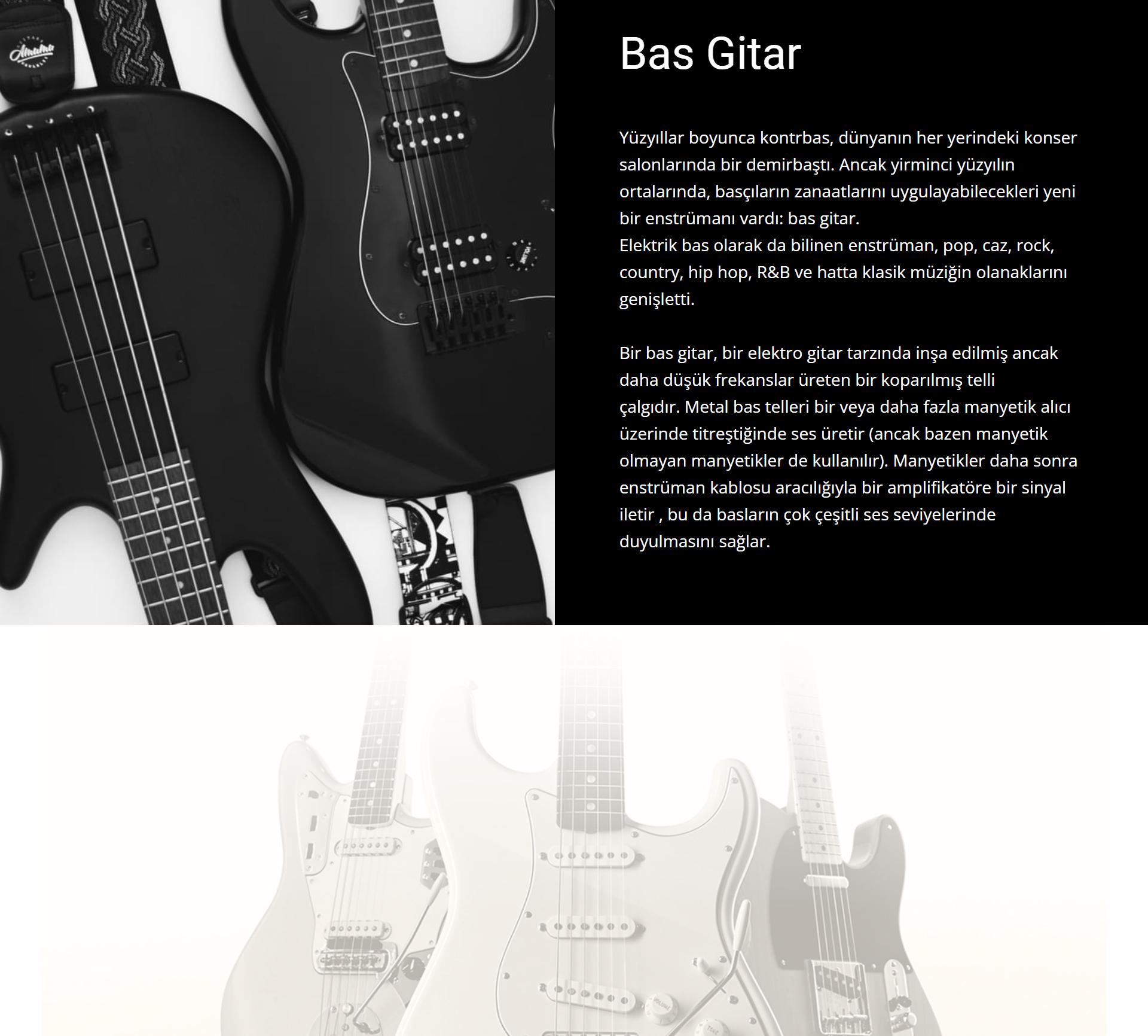 Bas Gitar