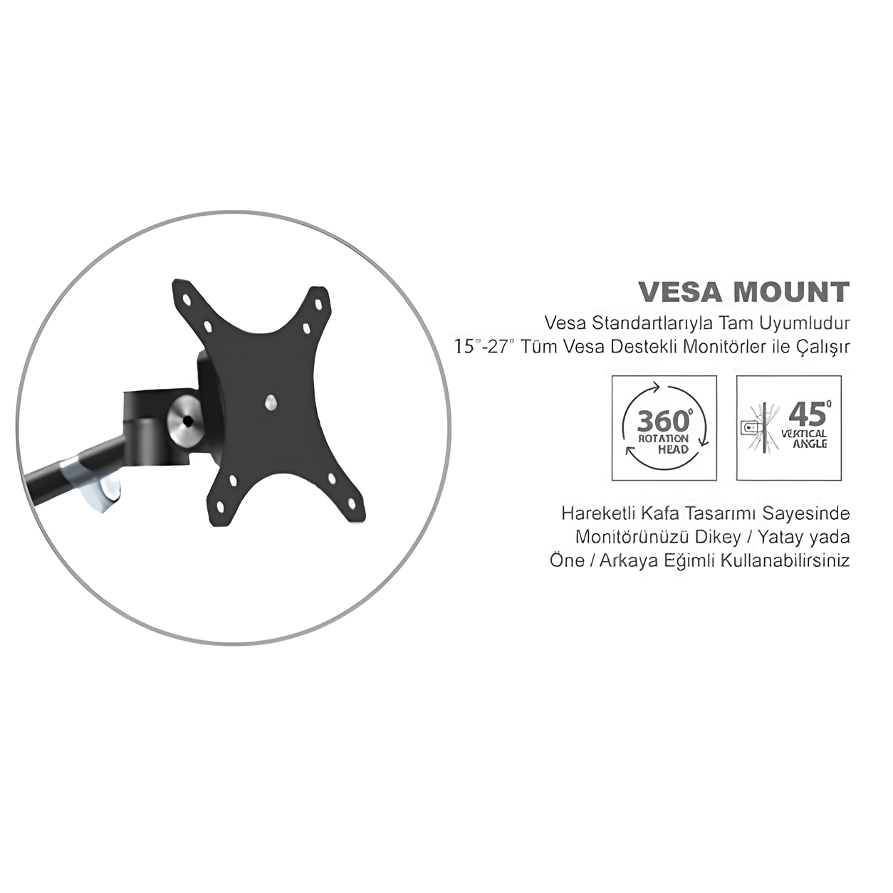 VESA01