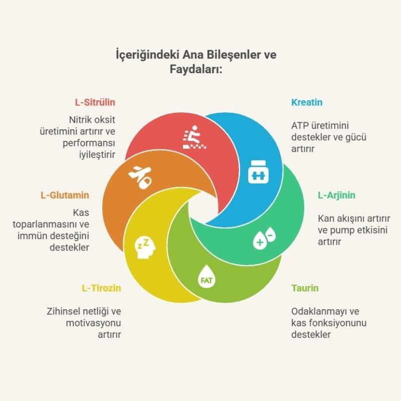 İçeriğindeki Ana Bileşenler ve Faydaları: