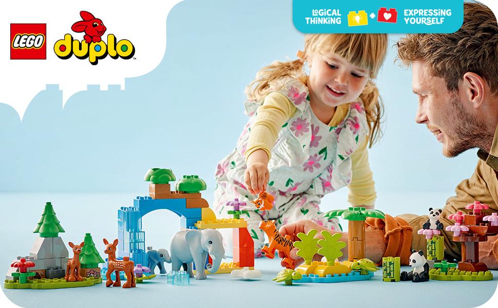 10446_DUPLO