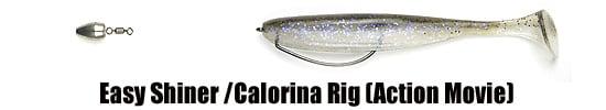 ““Keitech_easy-shiner-california-rig””