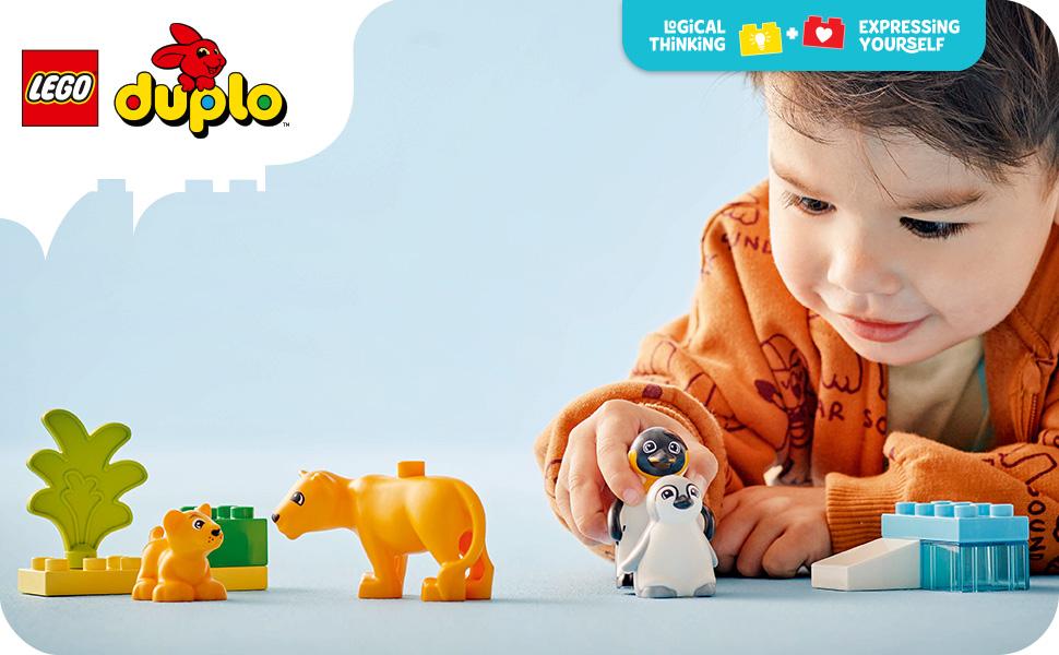 10442_DUPLO