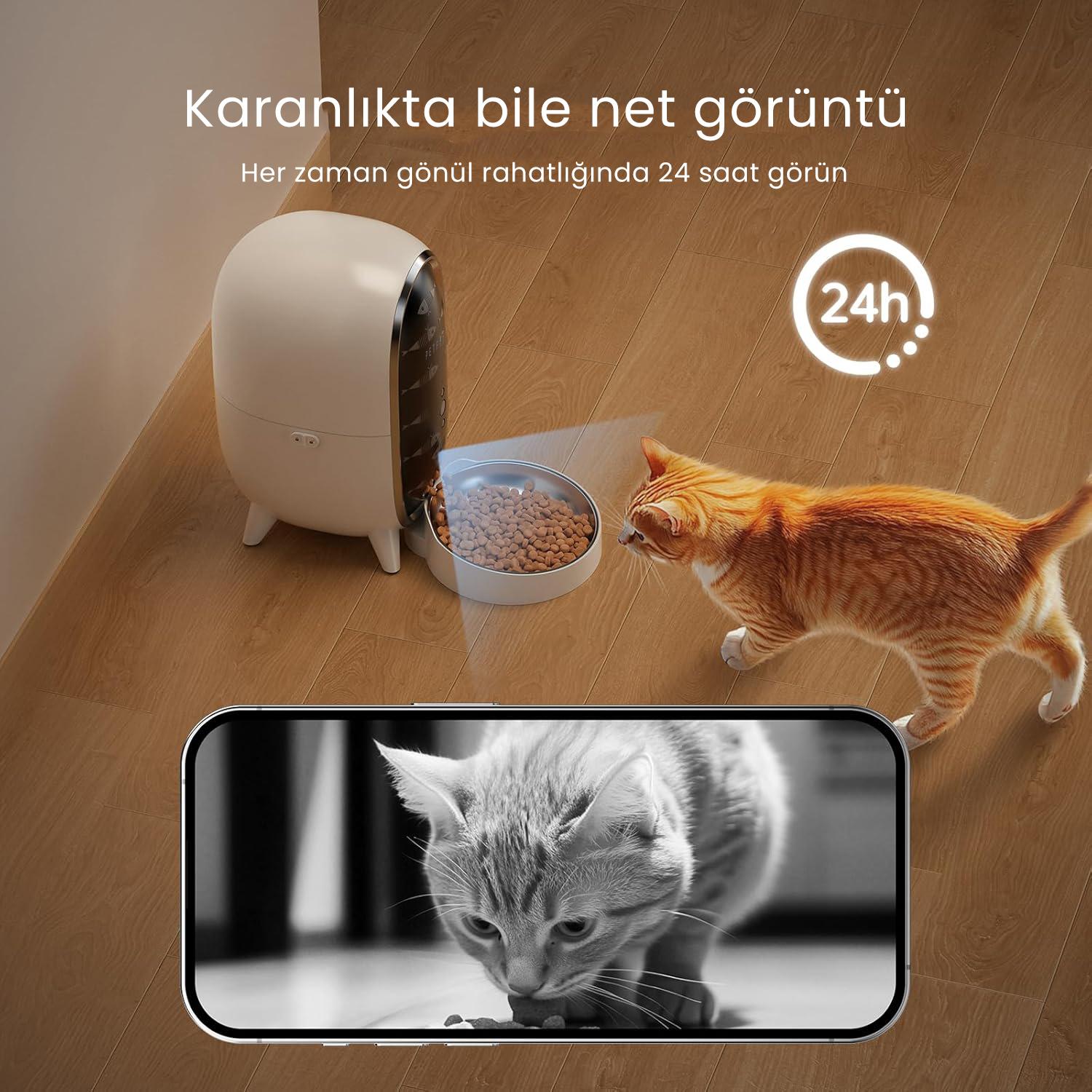 PETFİT