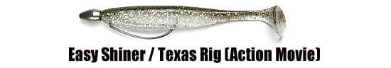 ““Keitech_easy-shiner-texas-rig””