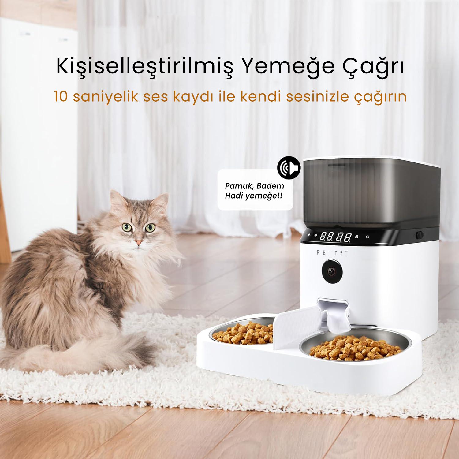 PETFİT