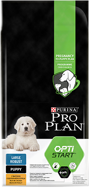 purina