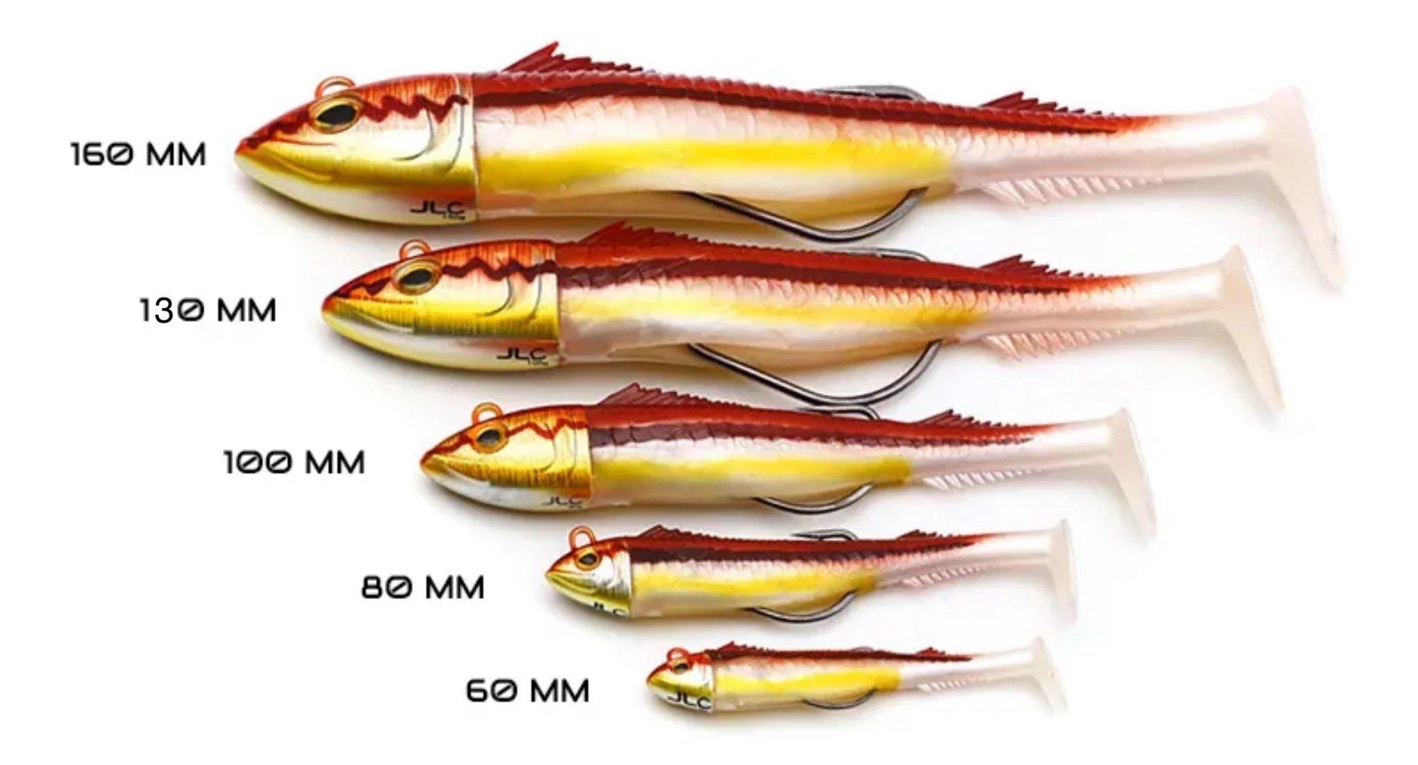 jlc-real-fish-1