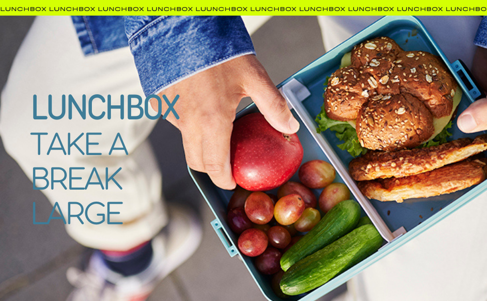 lunch box 1