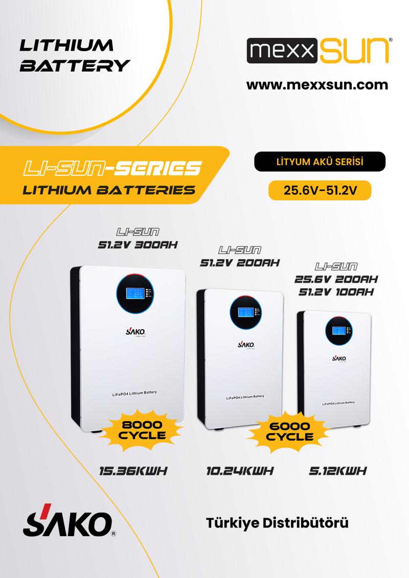 li-sun-25-6v-200ah-lifepo4--3b-17588762293943.jpg