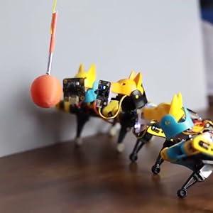 üç açık kaynaklı programlanabilir bit robot köpek, yapay zeka kullanarak kamera modülüyle bir topu takip ediyor
