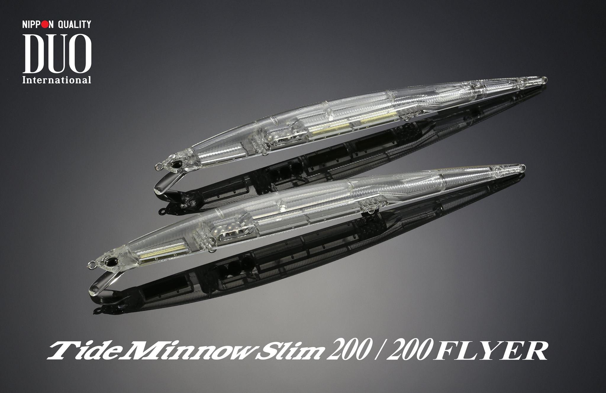 tms200flyer