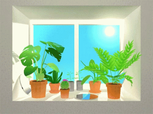 WindowPlantsGIF7.gif