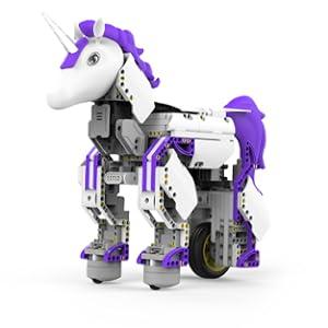 robot, büyülü, STEM, öğrenme, kızlar sapı, 8'den fazla programlanabilir, kodlanabilir, robot, efsanevi