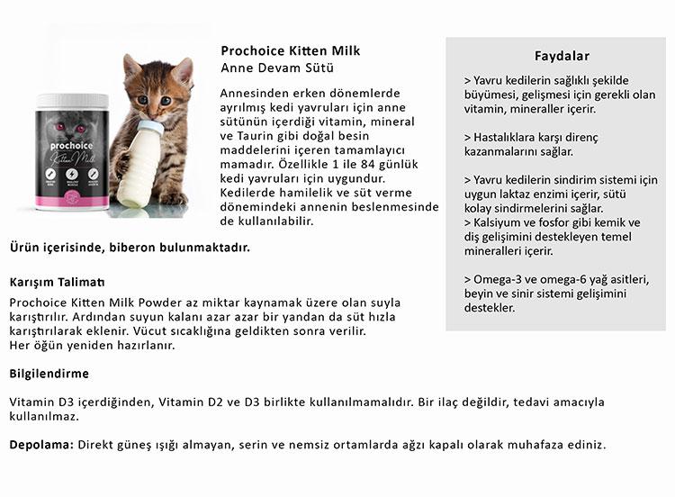 Prochoice_kitten.jpg (94 KB)
