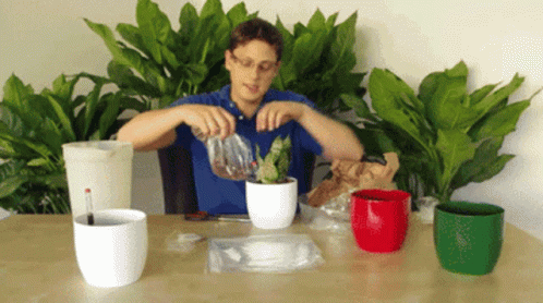OboNoahGIF3.gif